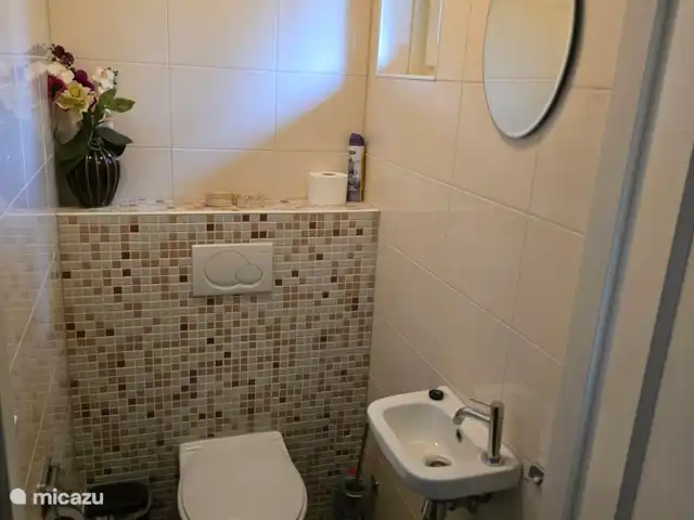Gasten toilet beneden